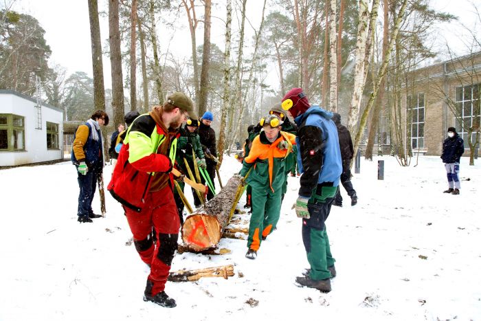 Mehrere Mitarbeiter unserer Forstgruppe ziehen einen langen Baumstamm im Schnee, Winterarbeiten im Wald