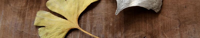 Ein Gingko-Blatt und ein hauchdünnes und zartes Kunstwerk aus unserer Designwerkstatt inform eines silbernes Gingko-Blattes auf Holzhintergrund
